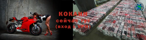 стаф Магадан