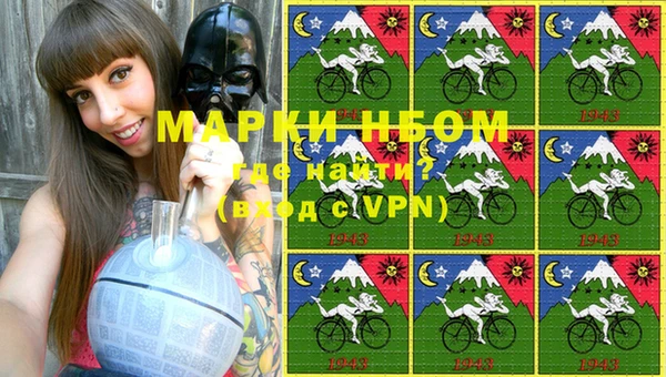 стаф Магадан