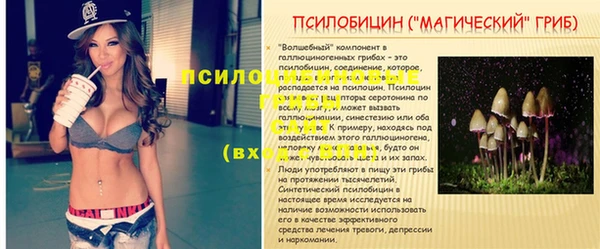 соль ск Вяземский