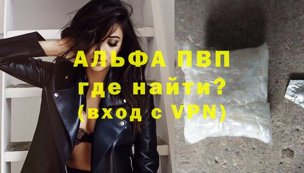 стаф Магадан