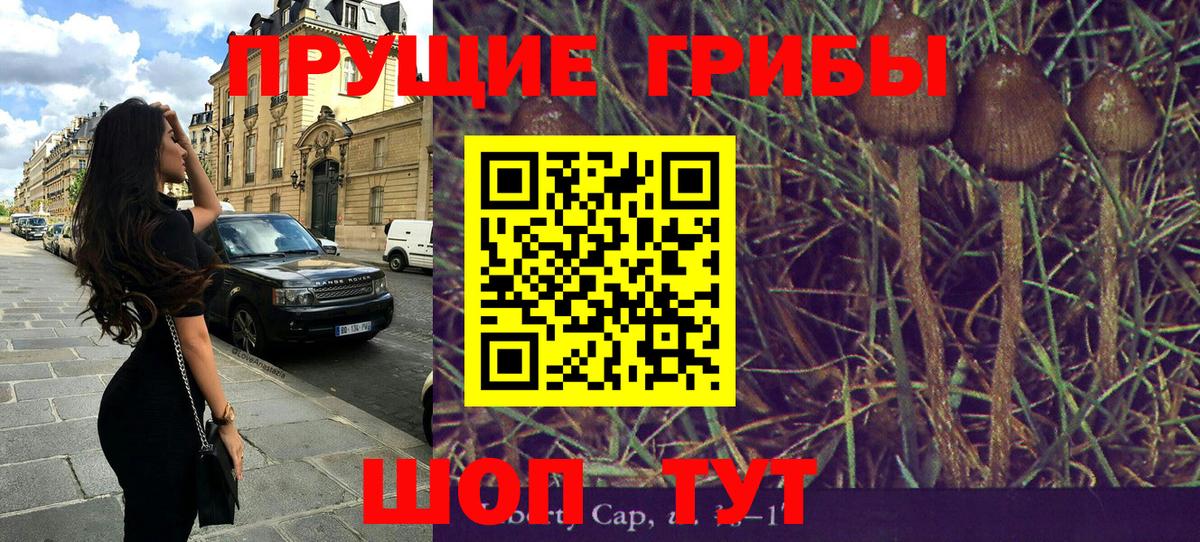 Псилоцибиновые грибы мухоморы Георгиевск